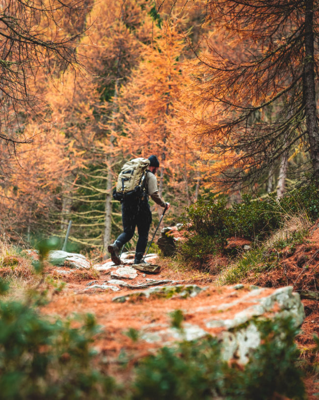 thomas luisier is walking with his bagpack in the forest