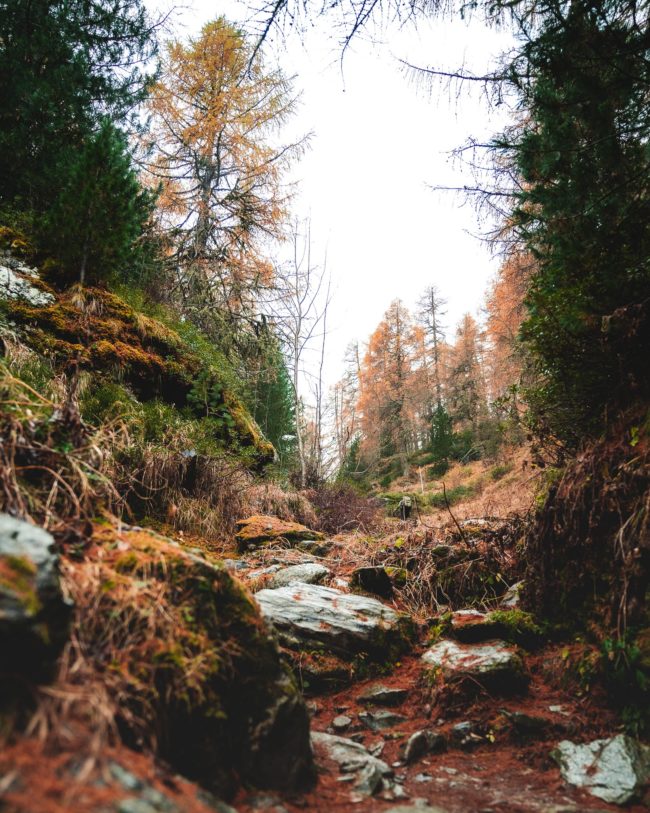 the path full of rocks to reach a lake