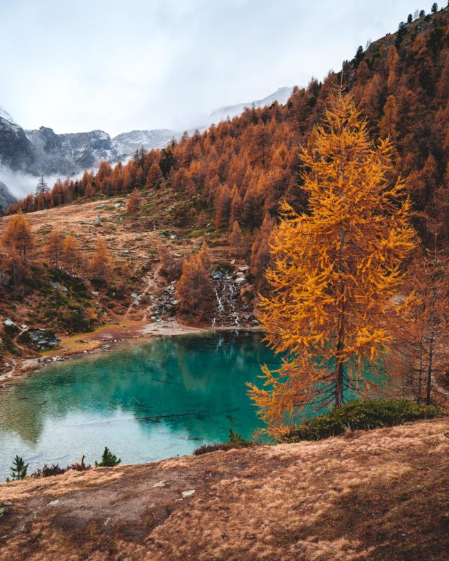 the lac bleu in autumn is a blue lake