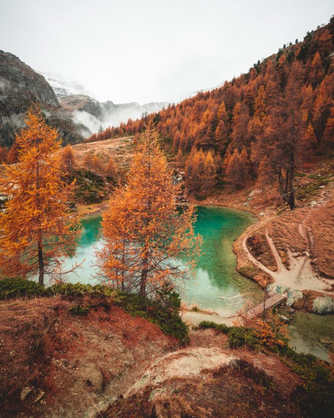 in autumn a blue lake is reflecting the orange forest