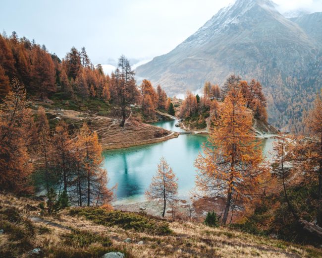 the lac bleu is surrounded with nature