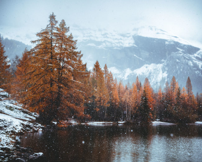 the snow is falling on the lake of derborence