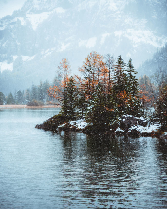 the trees in the lake of derborence are covered with snow