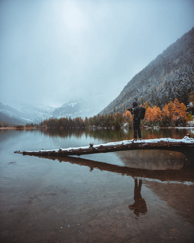 samuel laprand is taking some pictures on a fallen tree