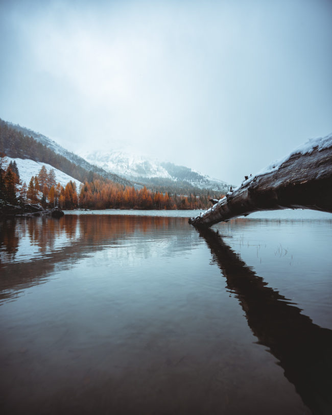 reflection of a fallen tree in the derborence lake with the shape of the mountain